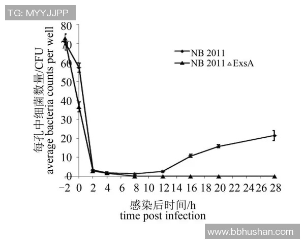 重庆排球队速度表现分析及其对比赛胜负的影响探讨 重庆排球队速度表现分析及其对比赛胜负的影响探讨