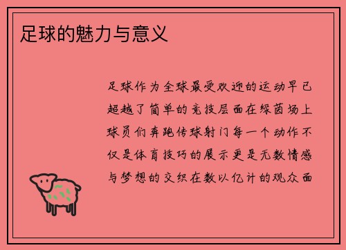 足球的魅力与意义