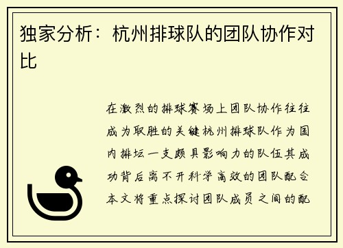独家分析：杭州排球队的团队协作对比