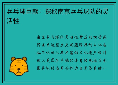 乒乓球巨献：探秘南京乒乓球队的灵活性