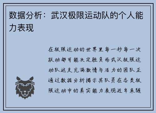 数据分析：武汉极限运动队的个人能力表现