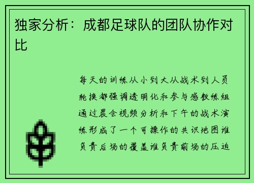 独家分析：成都足球队的团队协作对比