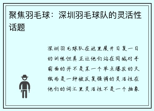 聚焦羽毛球：深圳羽毛球队的灵活性话题