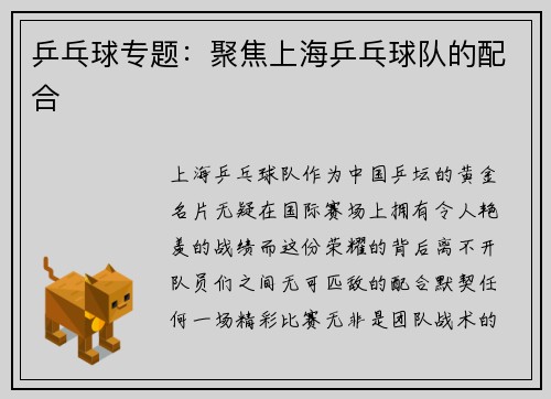 乒乓球专题：聚焦上海乒乓球队的配合