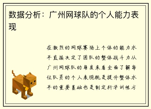 数据分析：广州网球队的个人能力表现