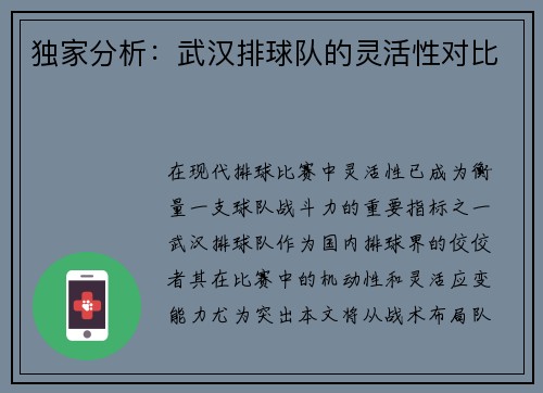 独家分析：武汉排球队的灵活性对比
